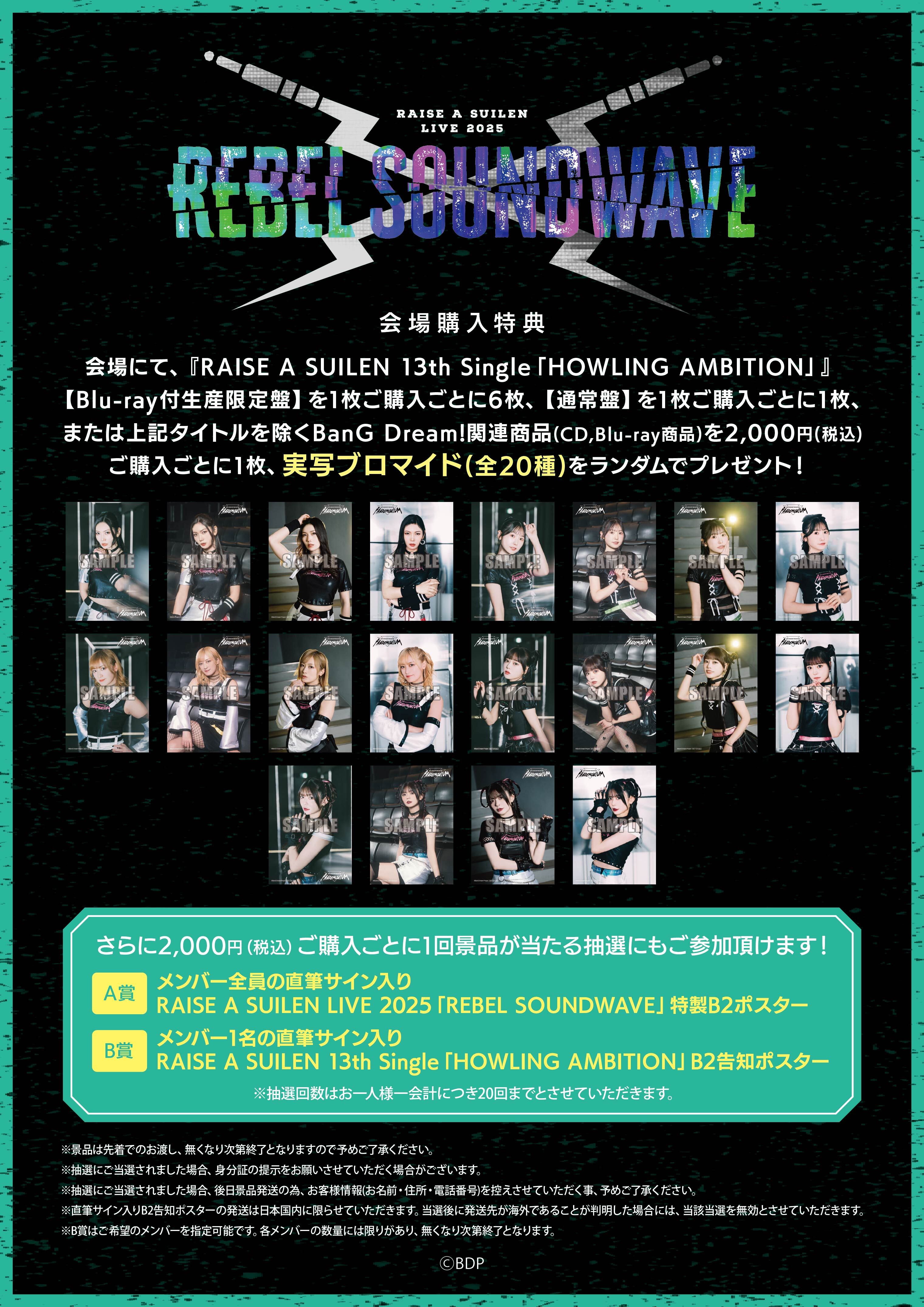 RAISE A SUILEN LIVE 2025「REBEL SOUNDWAVE」 | ライブ•イベント