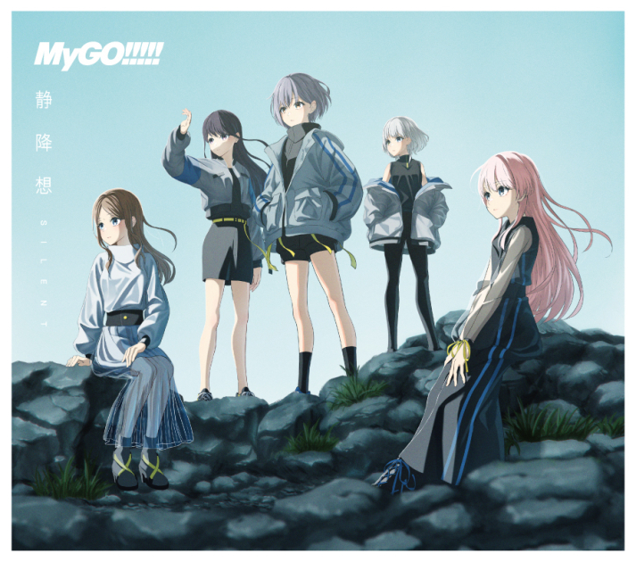 ff95c523-d516ed0b-2e5d408c-